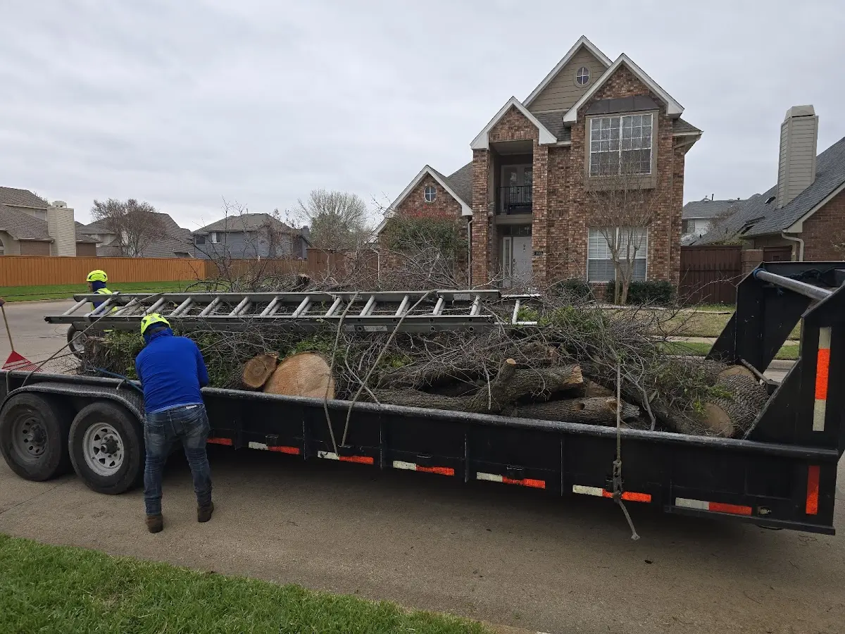 Expert Lot Clearing with proper safety equipment in Hodgenville
